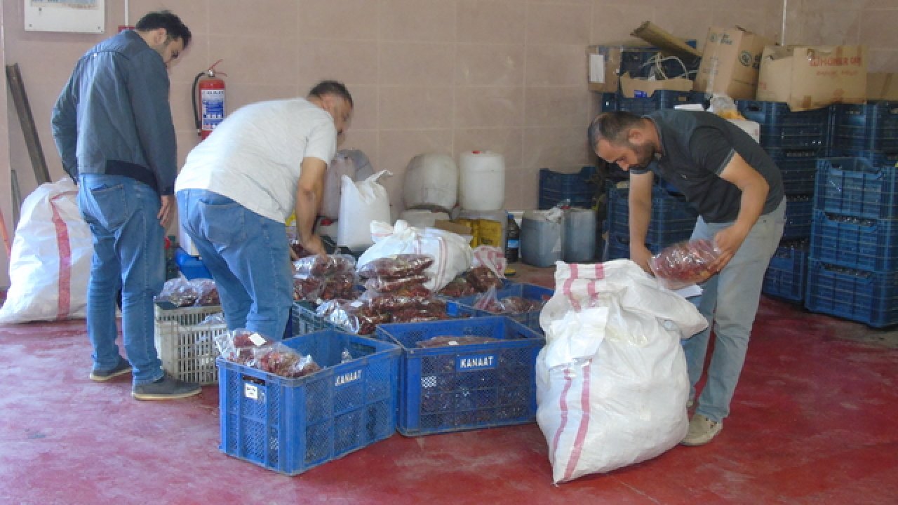 Gaziantep'te Çiftçiye Destek: Belediyeler Biber Alımına Başladı